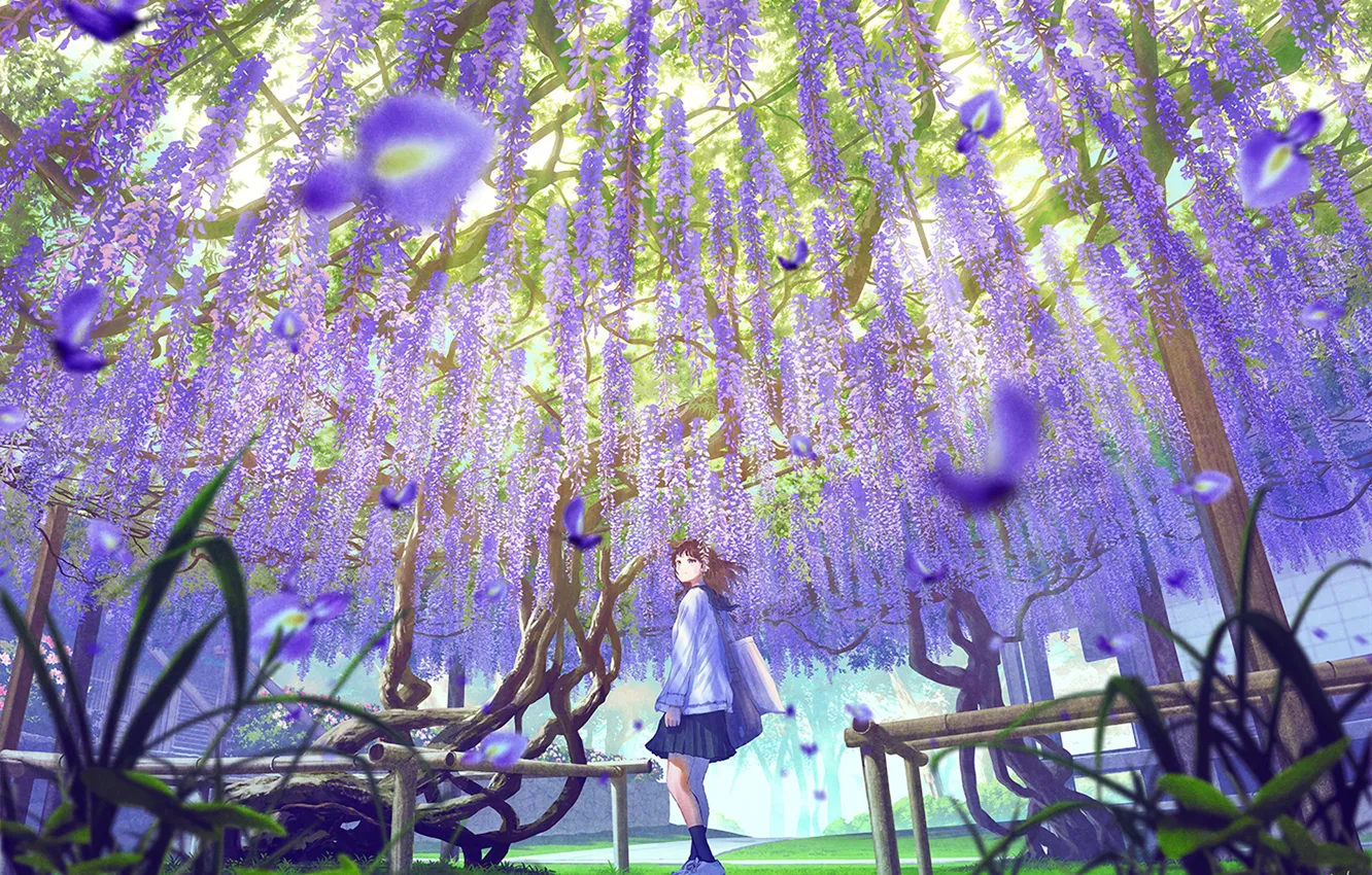 Photo wallpaper petals, schoolgirl, bag, lilac, Wisteria, Wisteria, by Mocha