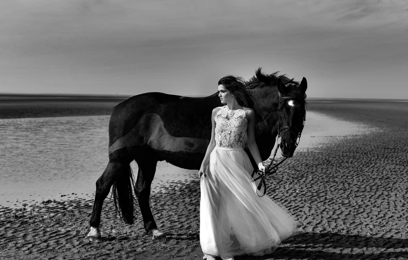 Photo wallpaper look, girl, horse, dress