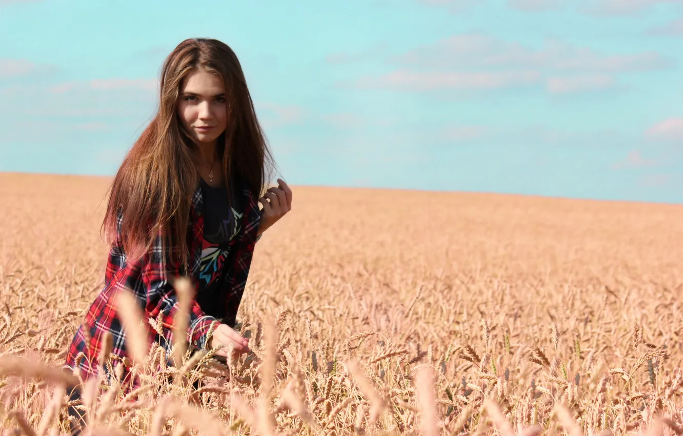 Photo wallpaper field, the sky, girl, clouds, sweetheart, rye, singer, ears