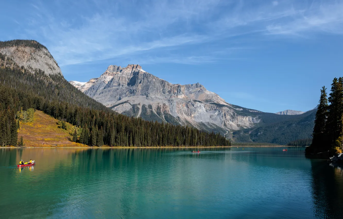Photo wallpaper forest, mountains, lake, blue, shore