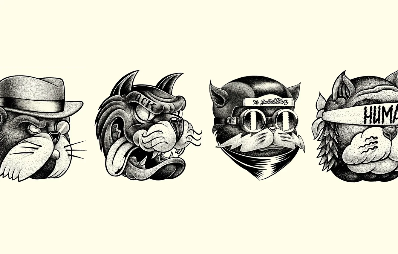 Photo wallpaper cat, minimalism, humor, art, art, cats, Minimalism, Hello Shane