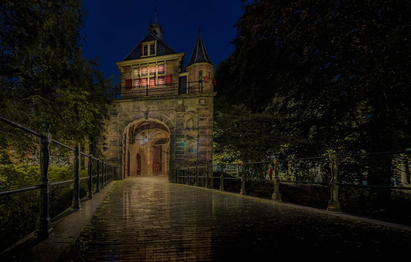 Photo wallpaper night, lights, tower, gate, Netherlands, Horn
