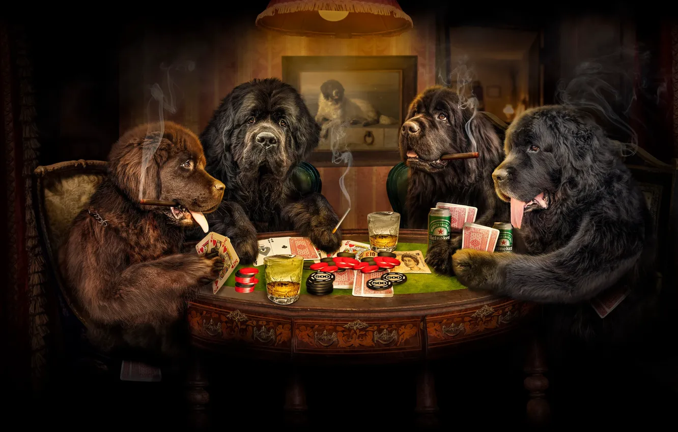 Photo wallpaper look, face, light, pose, the dark background, rendering, table, each