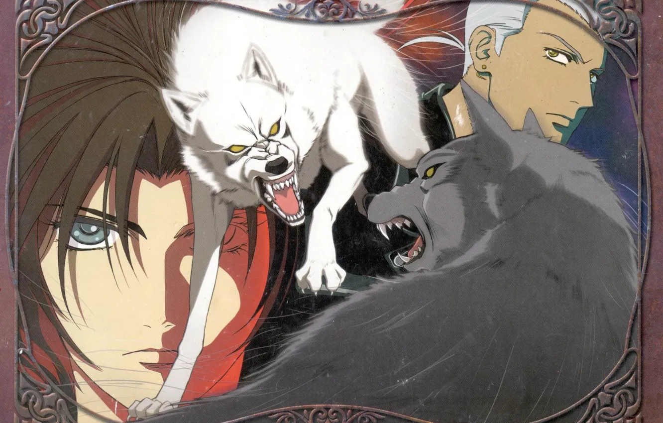 Photo wallpaper look, wolf, frame, grin, Wolf's Rain, two guys, white wolf