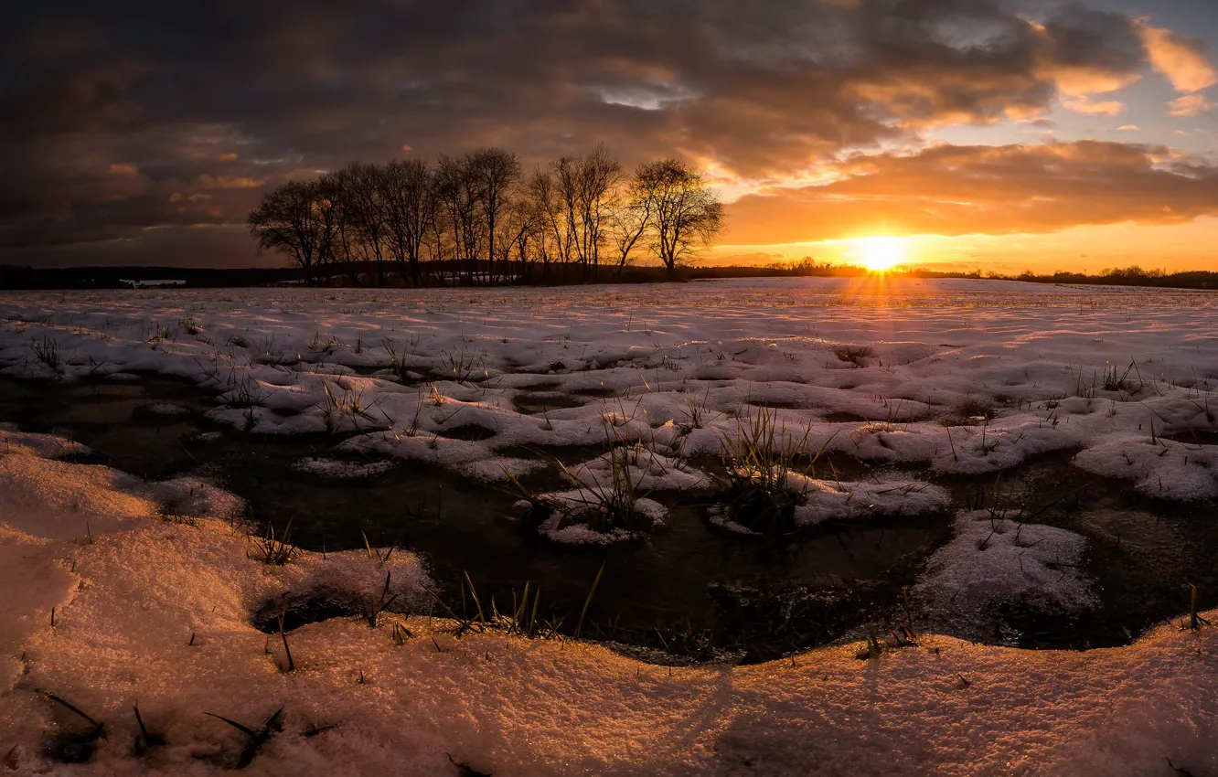 Photo wallpaper winter, field, sunset