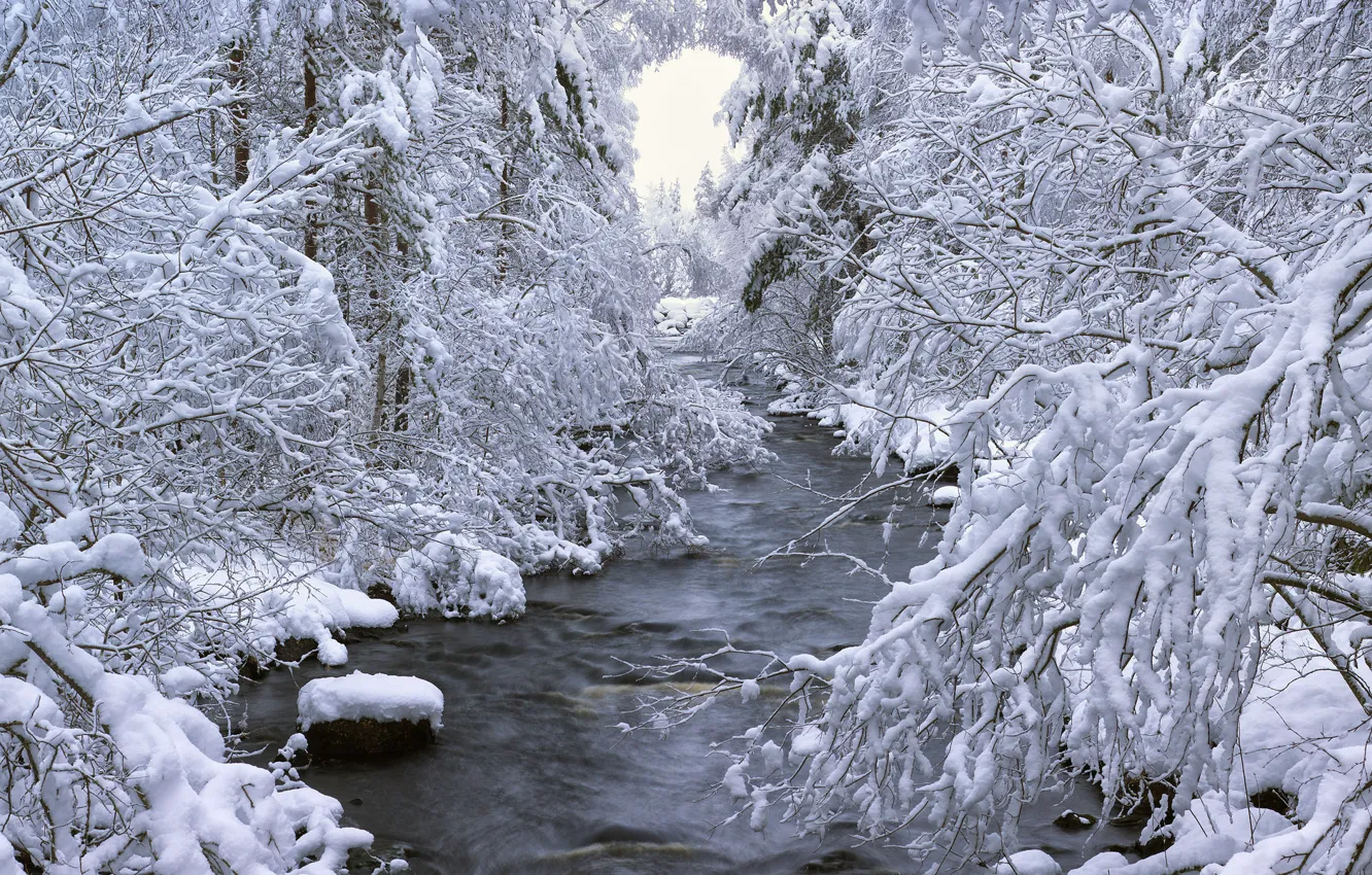 Photo wallpaper winter, forest, snow, trees, river, Sweden, Sweden, Dalarna