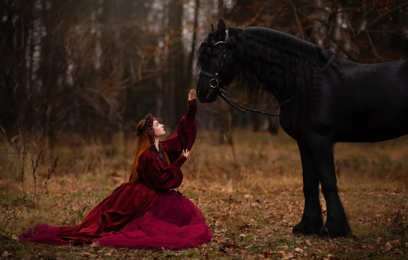 Photo wallpaper autumn, forest, girl, nature, pose, style, horse, horse
