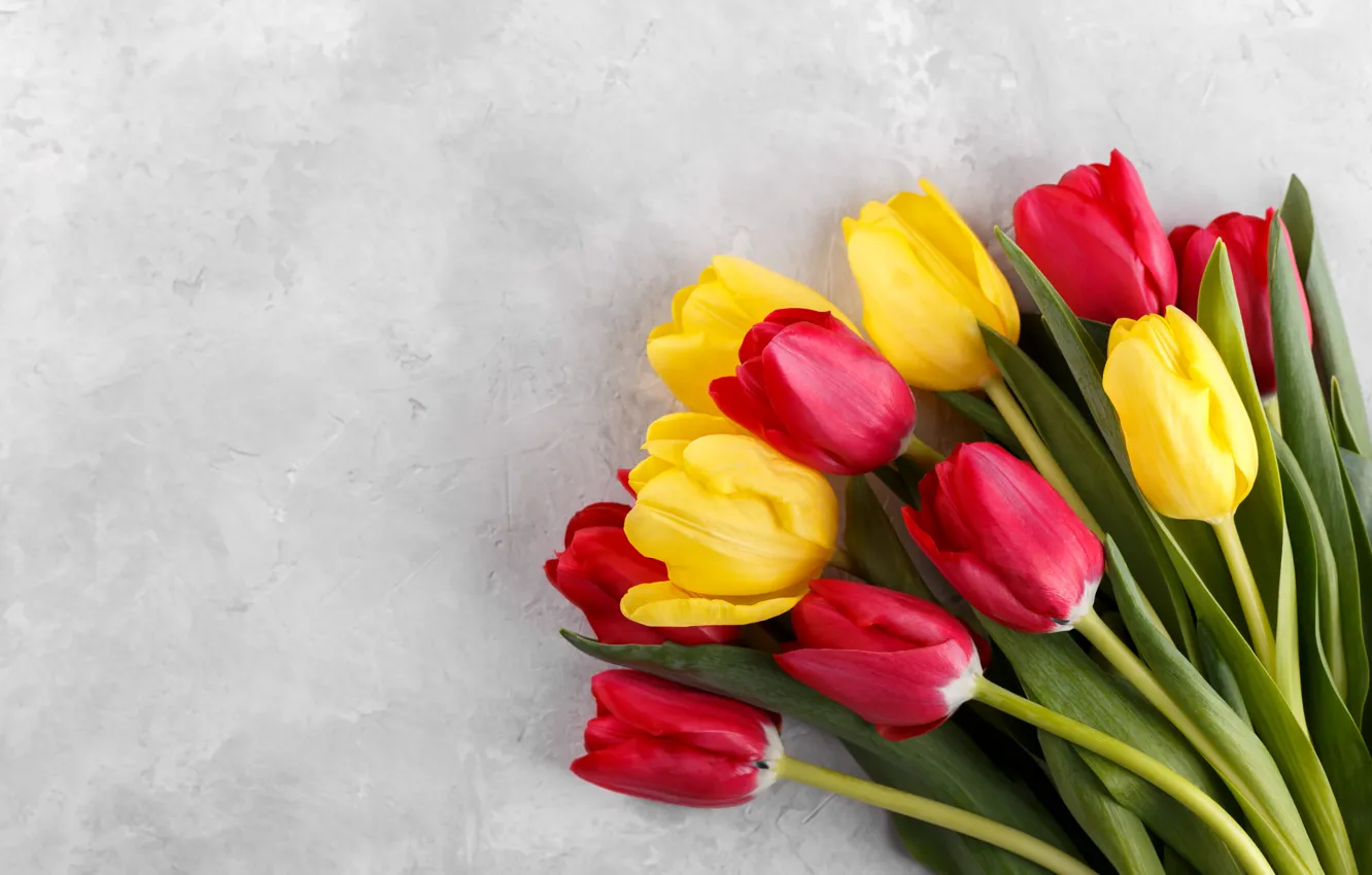Photo wallpaper flowers, bouquet, colorful, tulips, flowers, tulips, bouquet