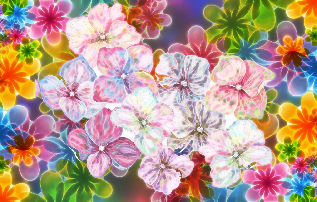 Photo wallpaper Graphics, Flowers