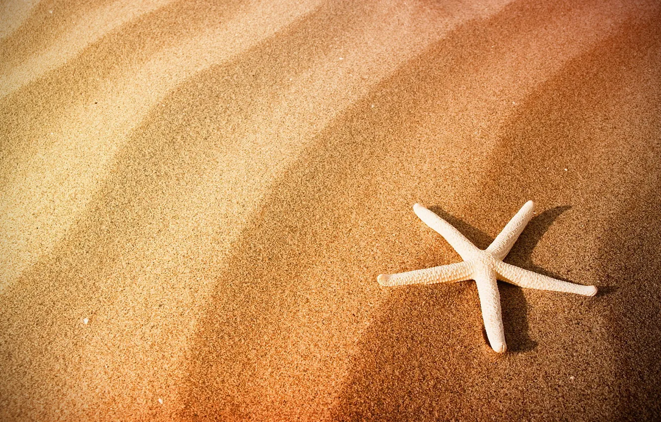 Photo wallpaper sand, beach, starfish