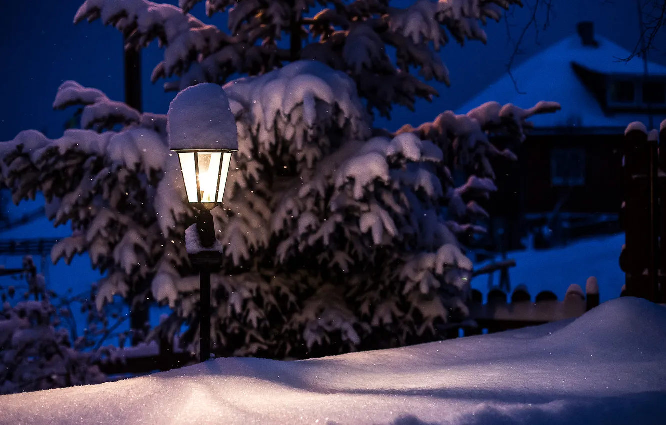 Photo wallpaper winter, light, snow, night, nature, lights