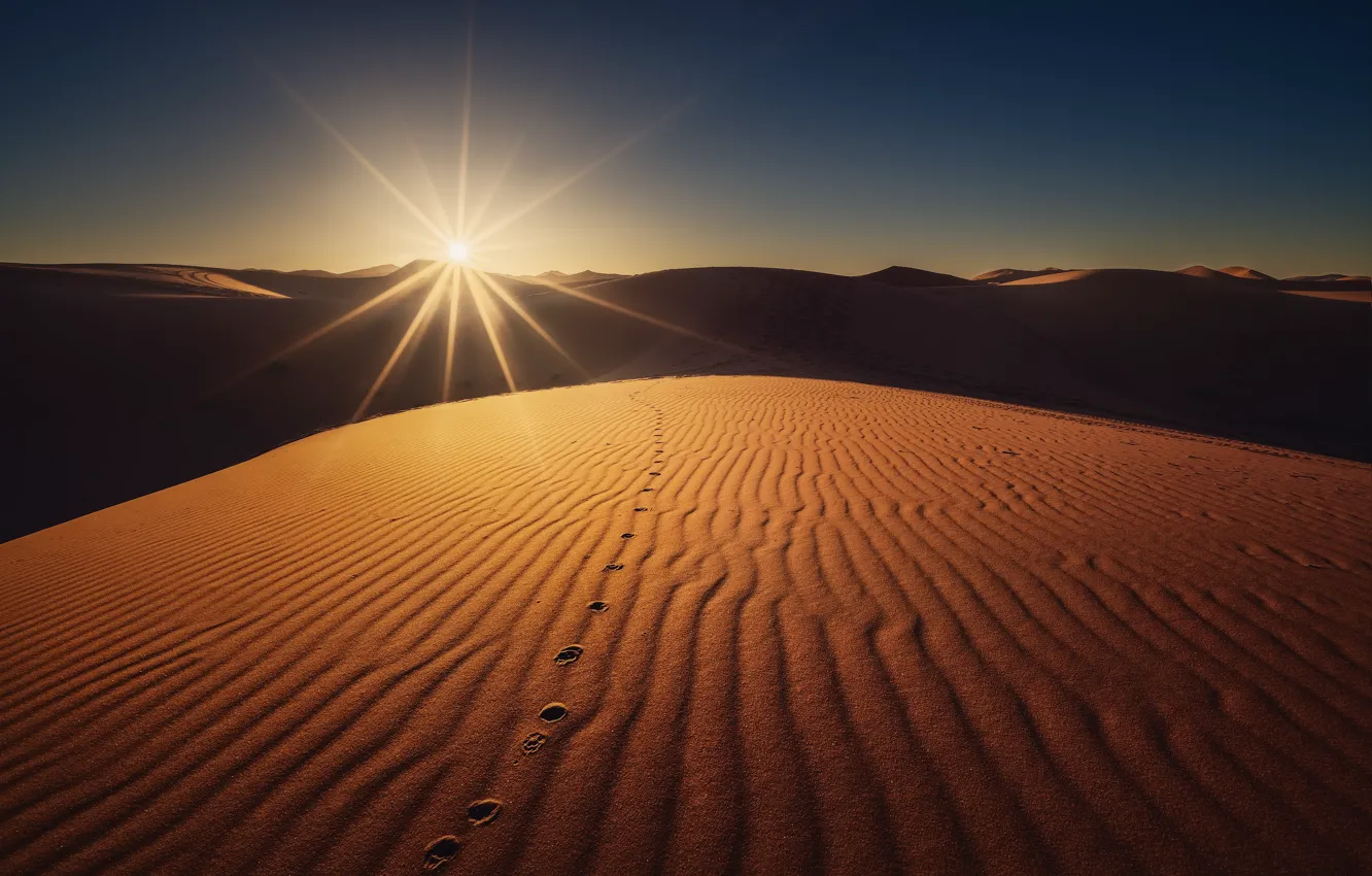 Photo wallpaper the sun, desert, dunes, Sands