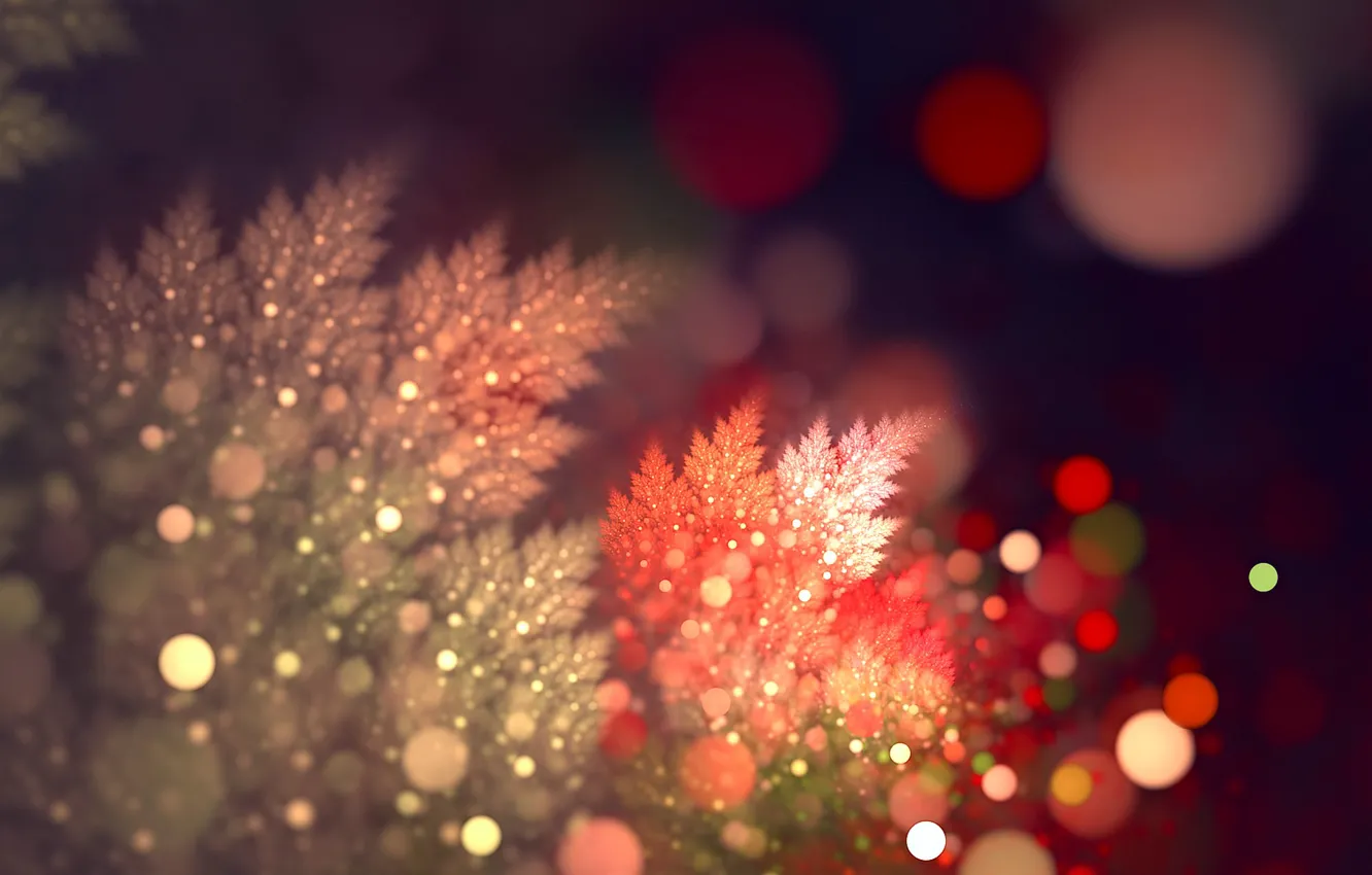 Photo wallpaper light, branches, plant, bokeh