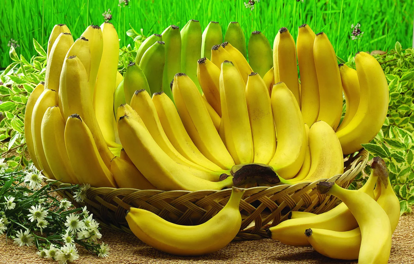 Photo wallpaper grass, flowers, bananas, fruit