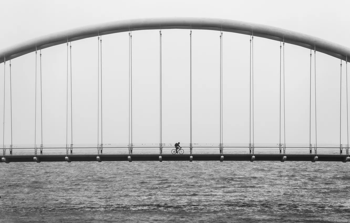 Photo wallpaper bicycle, ocean, bridge, water, black and white, architecture, suspension, b/w