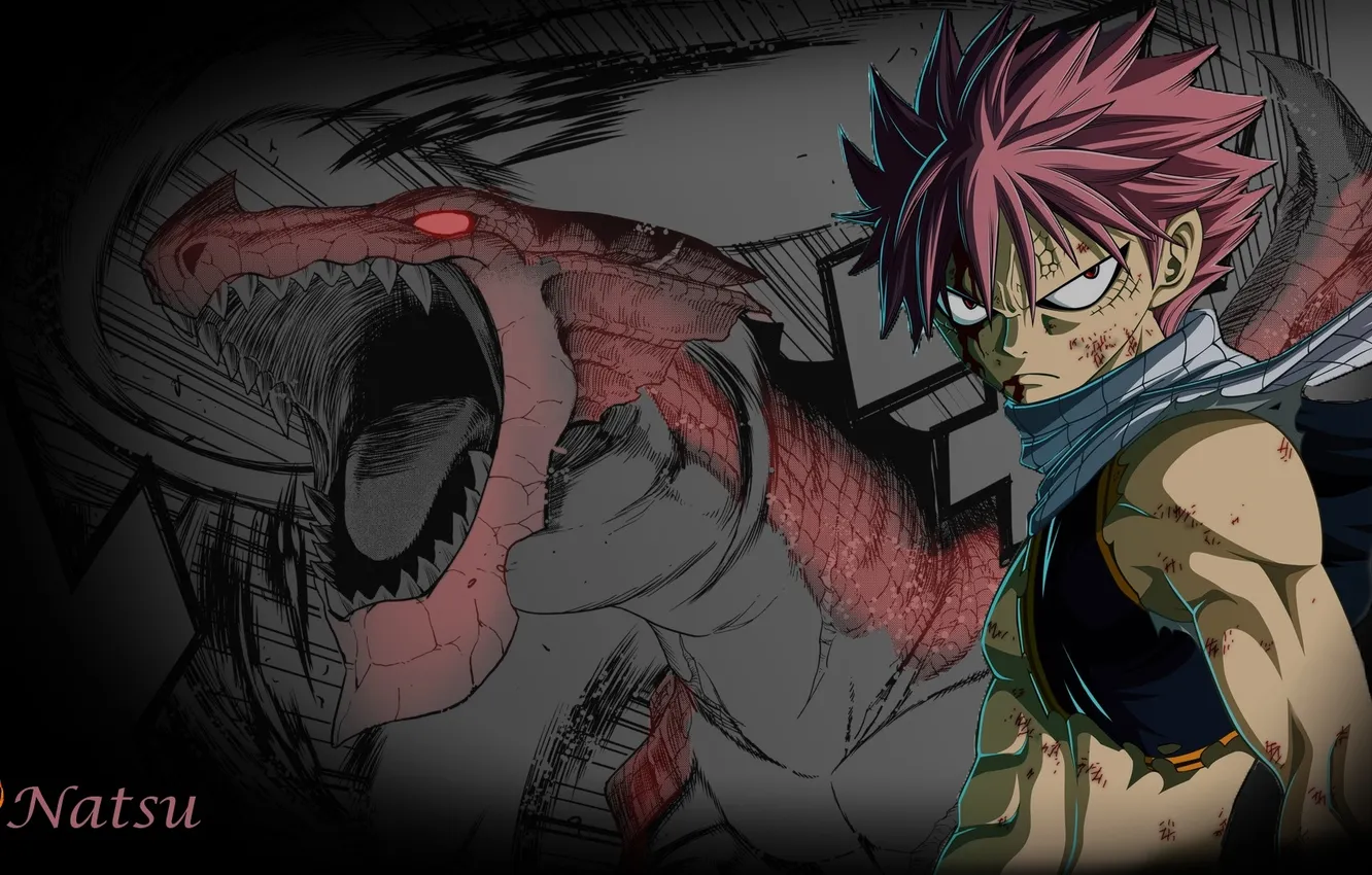 Photo wallpaper fairy tail, ddsa the, dwqda