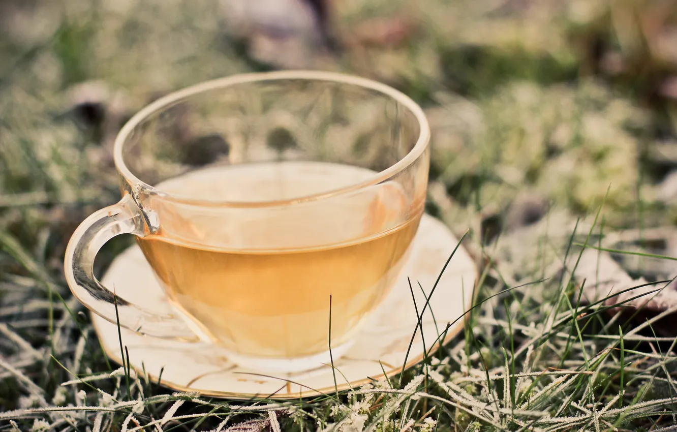 Photo wallpaper grass, tea, mug, drink, saucer