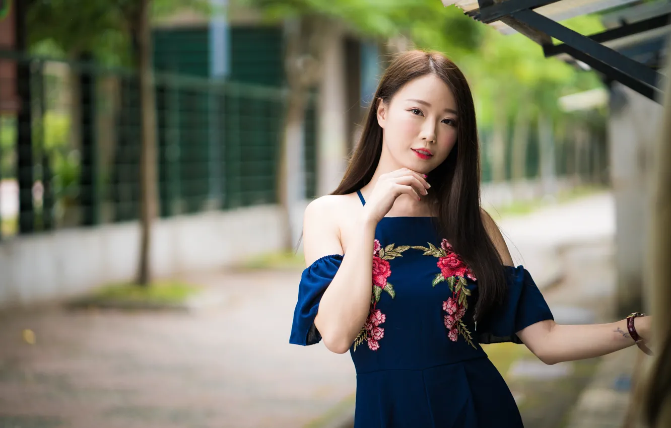 Photo wallpaper look, girl, hair, dress, brown hair, Asian, bokeh