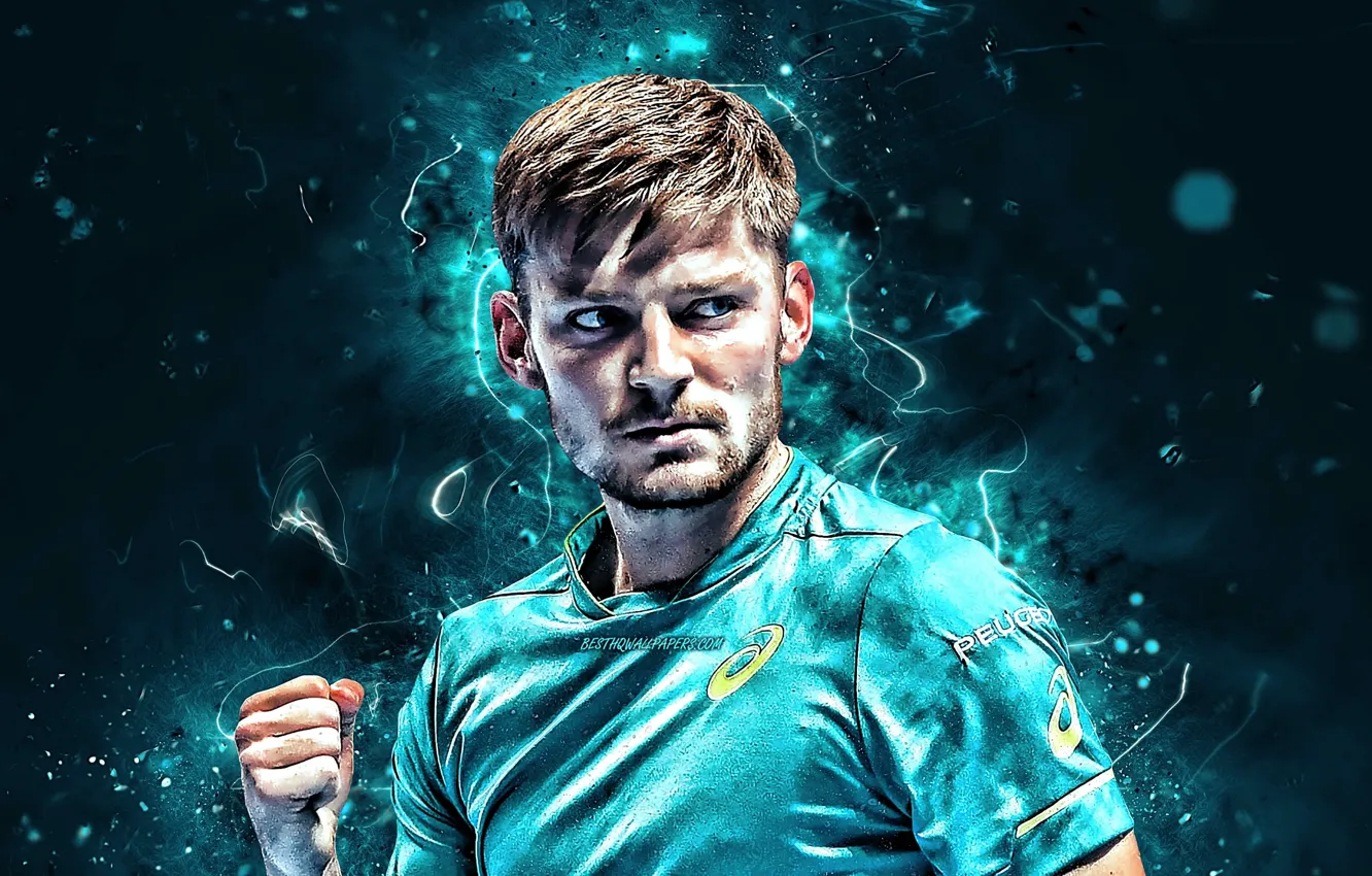 Photo wallpaper look, hands, Tennis, David Goffin