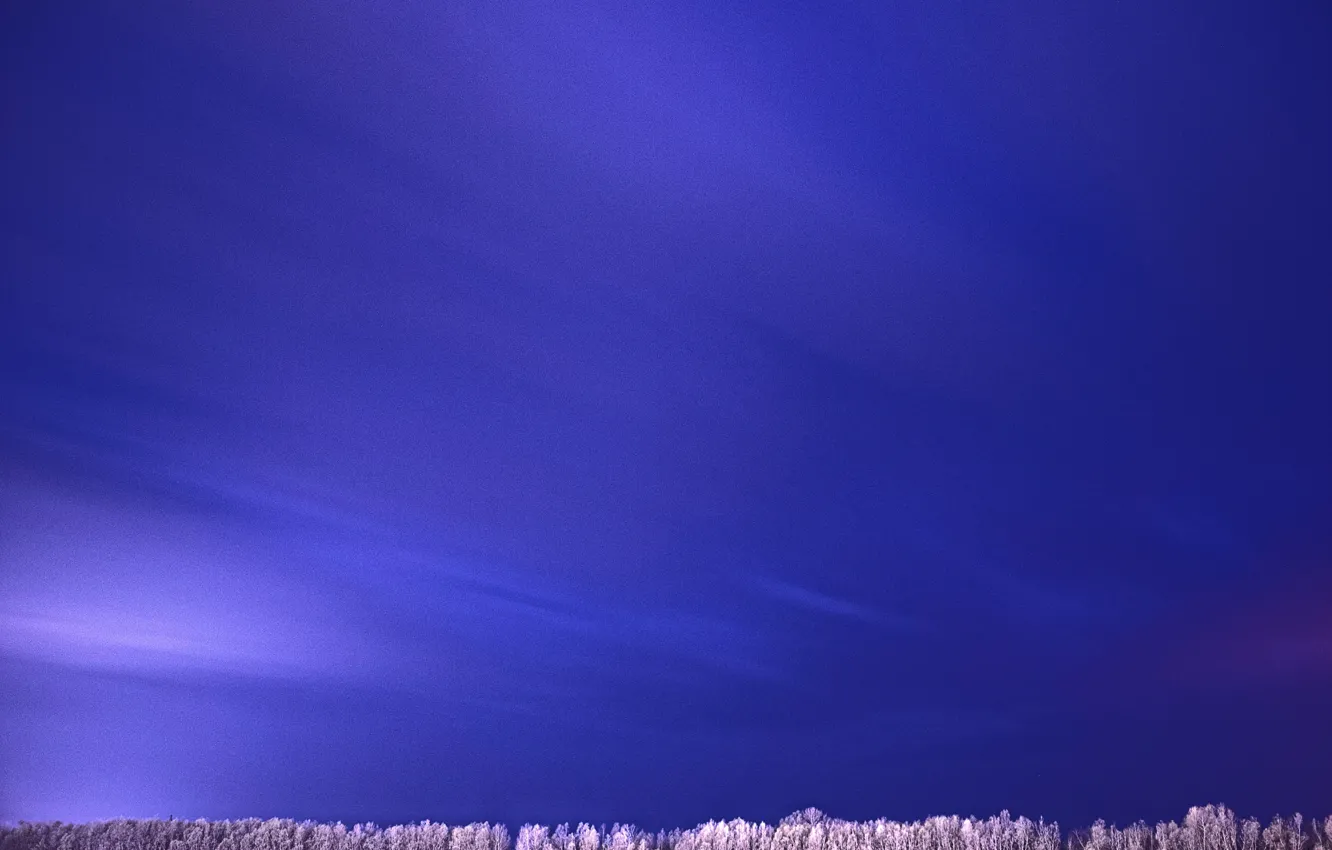Photo wallpaper trees, nature, river, excerpt, The Danube, Ishmael, blue.
