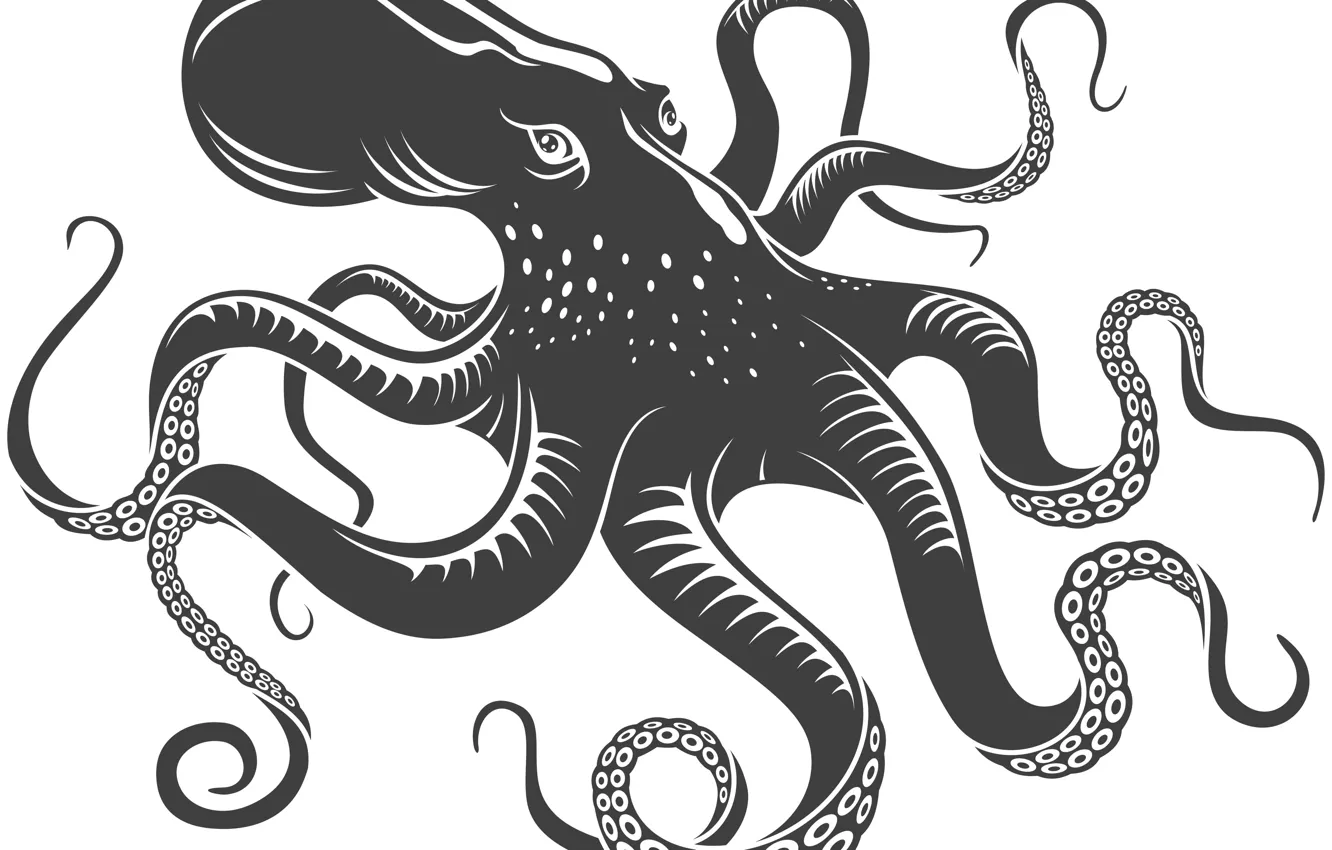 Photo wallpaper black, octopus, eyes, tentacles