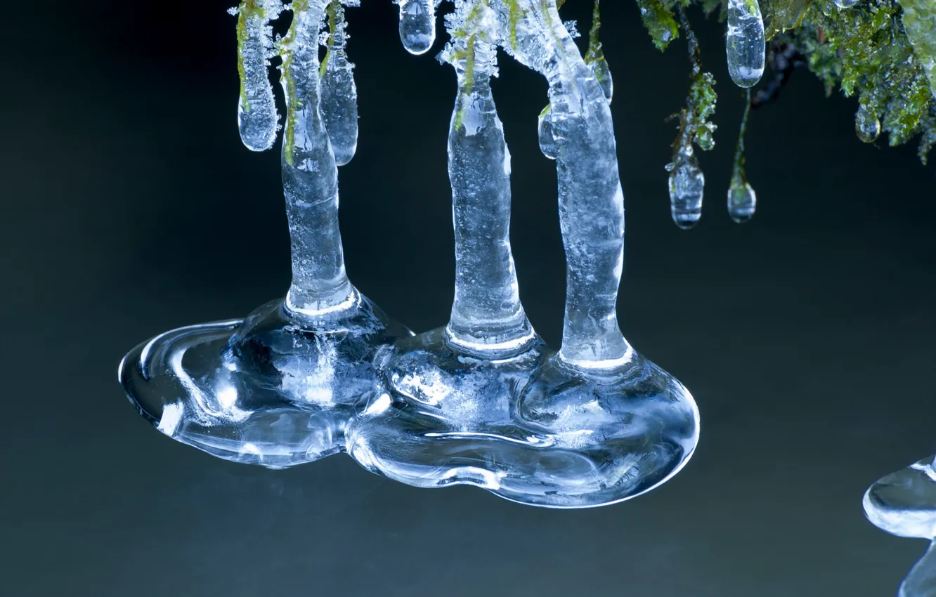 Photo wallpaper ice, winter, snow