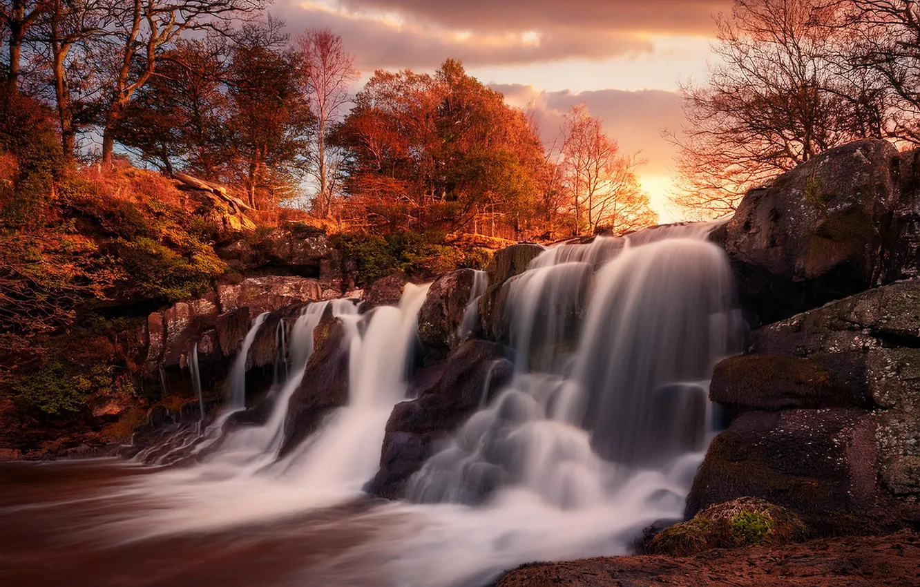 Photo wallpaper autumn, the sun, rays, light, trees, sunset, nature, stones