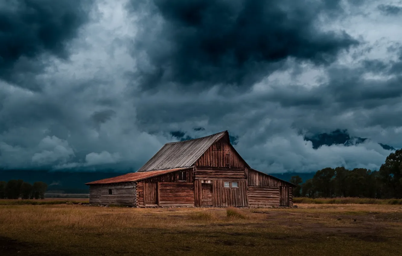 Photo wallpaper autumn, overcast, Russia, Heath, hut