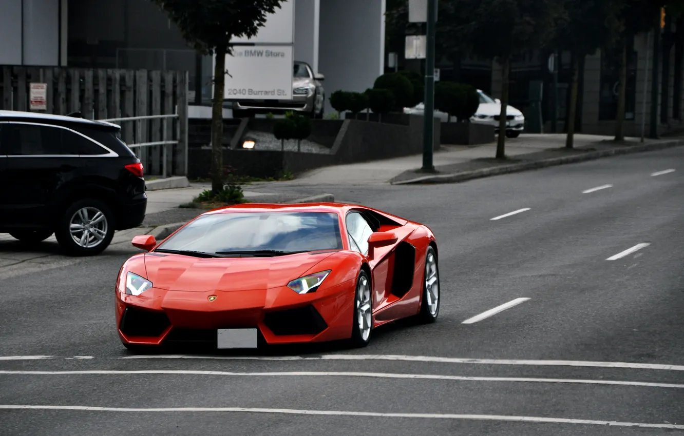 Photo wallpaper road, trees, orange, markup, street, lamborghini, cars, orange