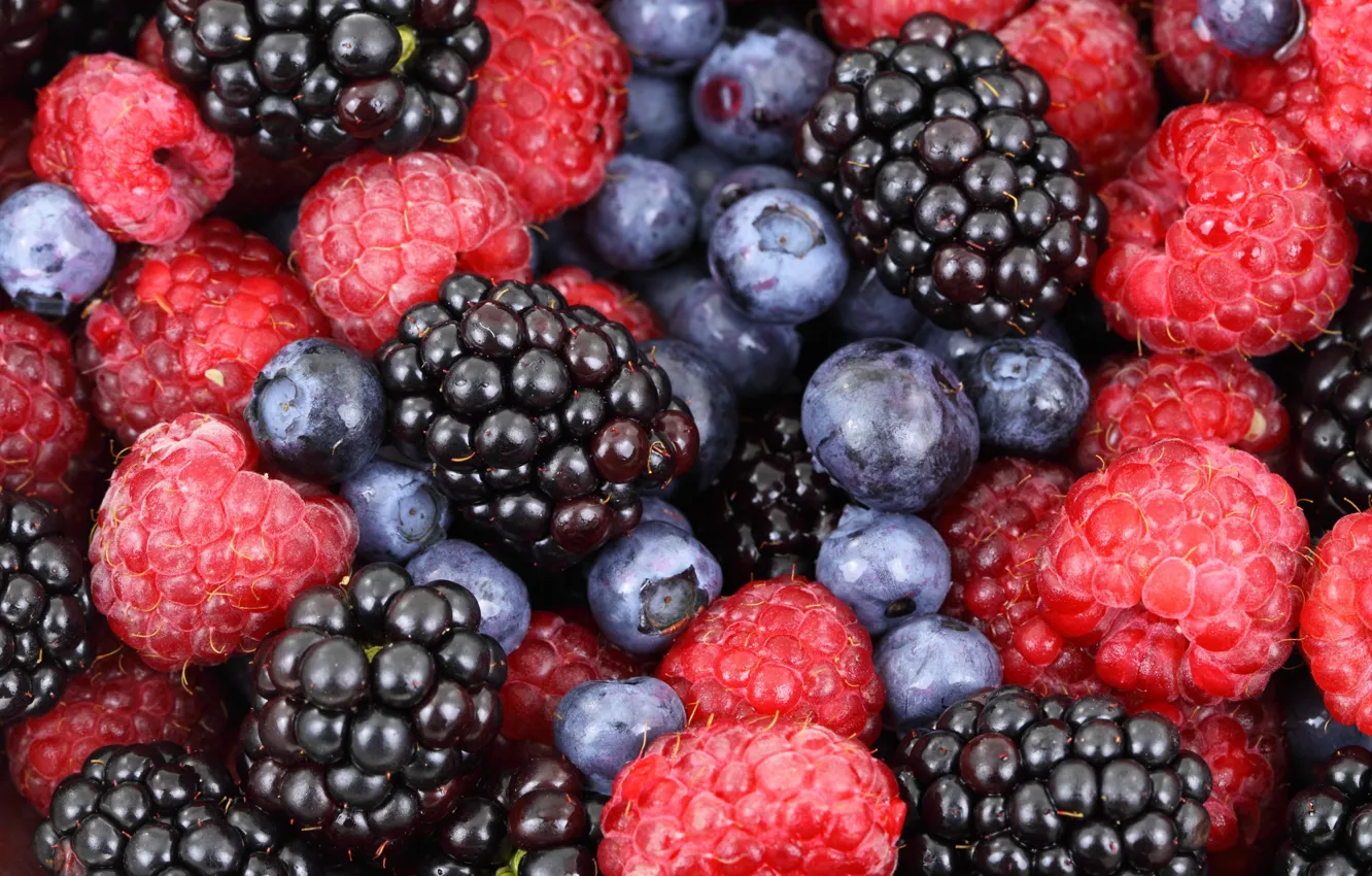 Photo wallpaper Fruits, Berries, Blueberries, Blackberries