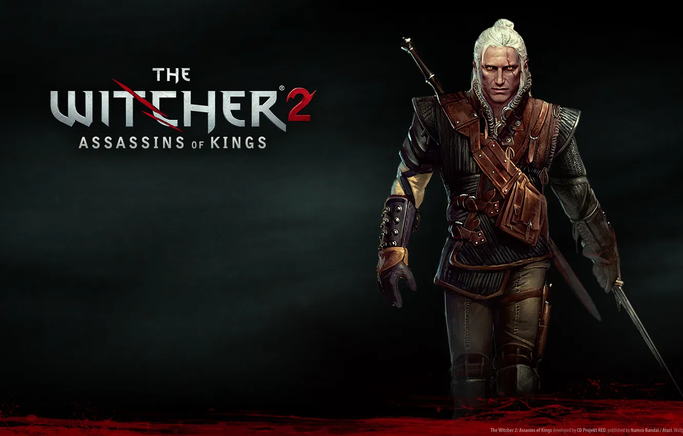 Photo wallpaper sword, hero, The Witcher 2: assassins of kings