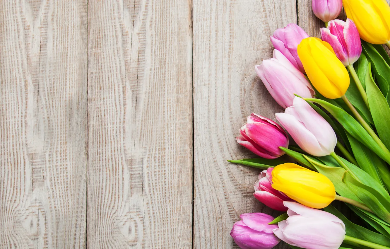 Photo wallpaper colorful, tulips, pink, yellow, wood, pink, flowers, tulips