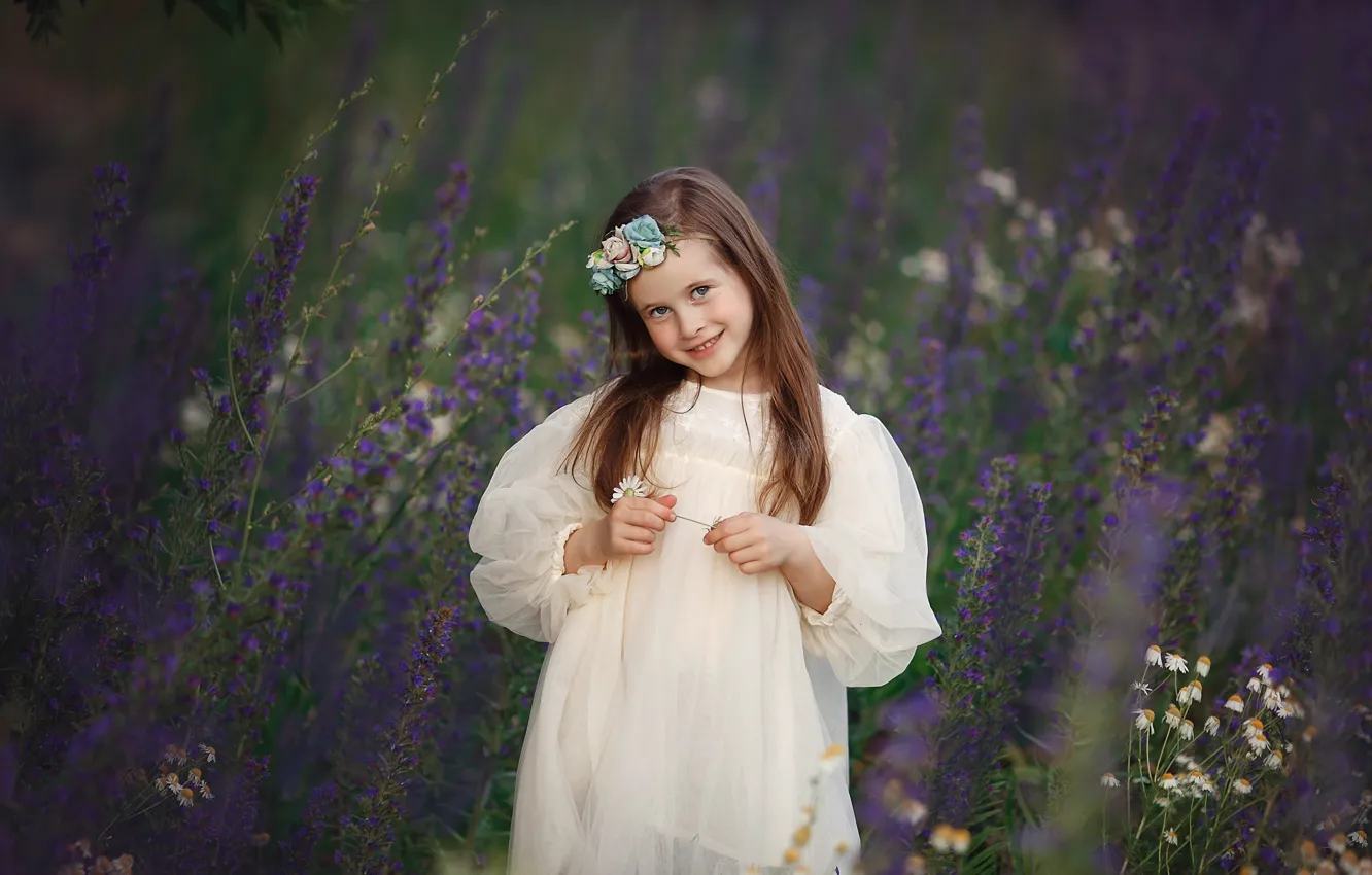 Wallpaper field, flowers, girl, Tamara Dmitrieva for mobile and desktop ...