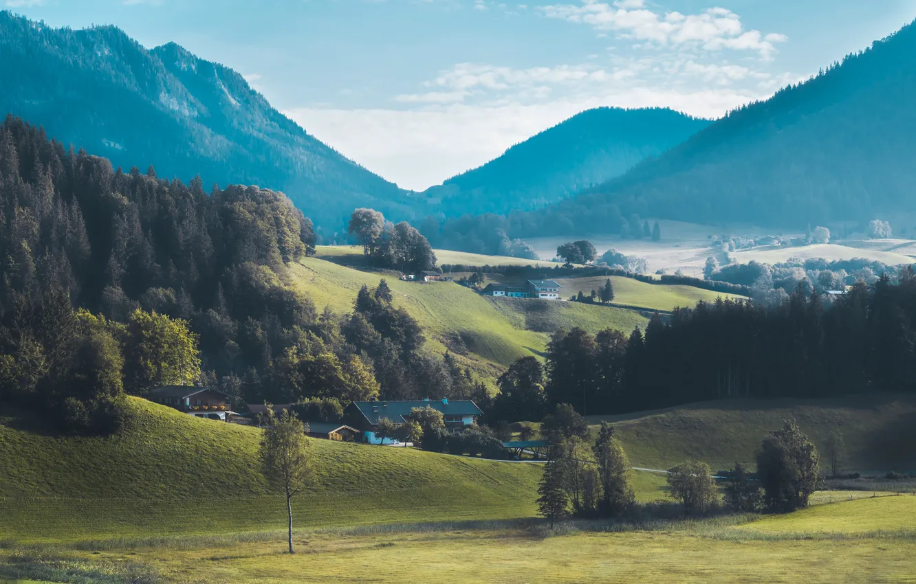 Photo wallpaper field, forest, trees, mountains, fog, hills, home, Germany