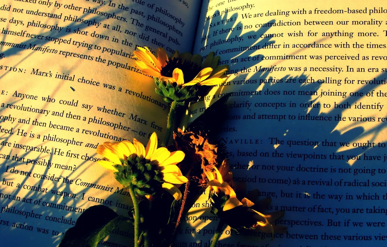 Photo wallpaper flowers, paper, mood, book, podology