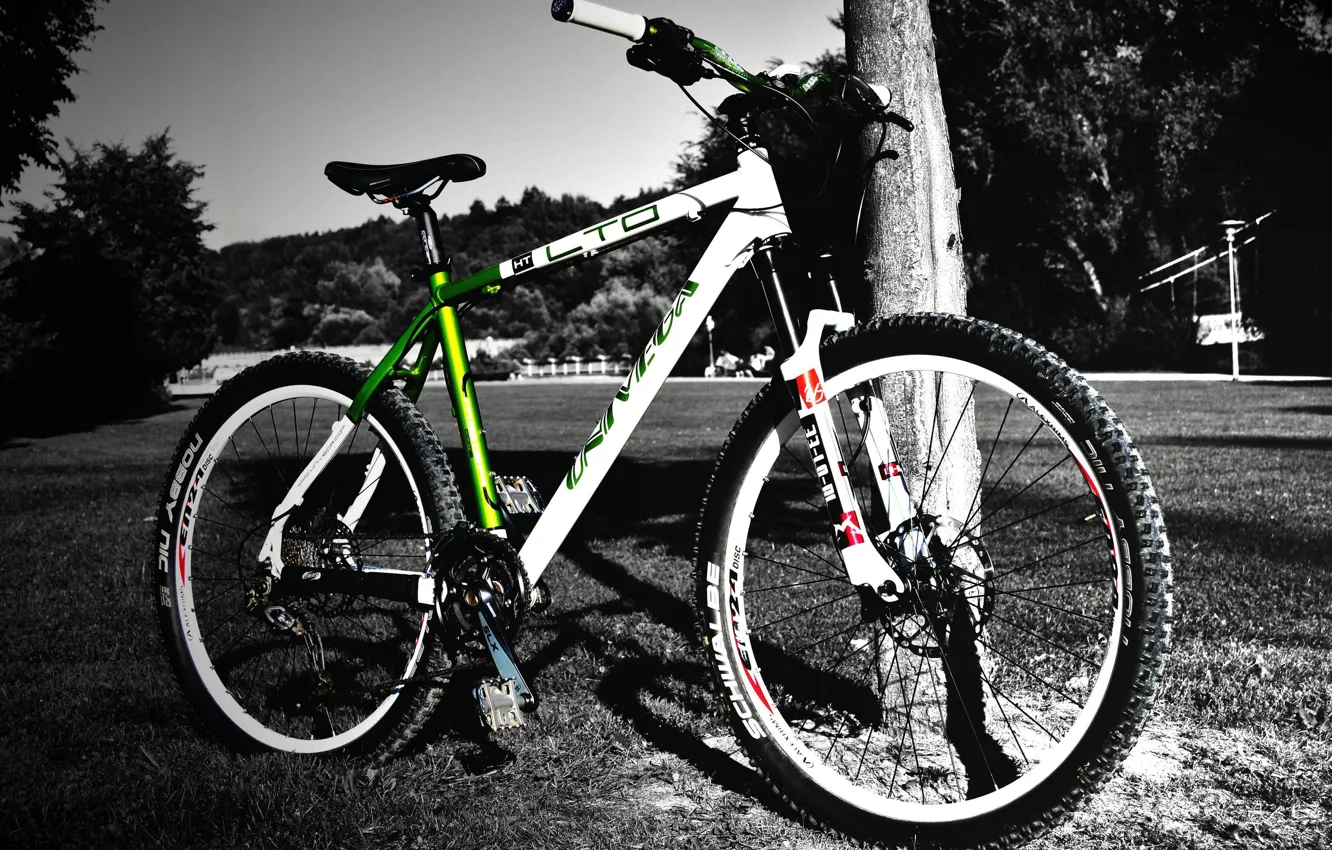 Photo wallpaper trees, bike, black-and-white background