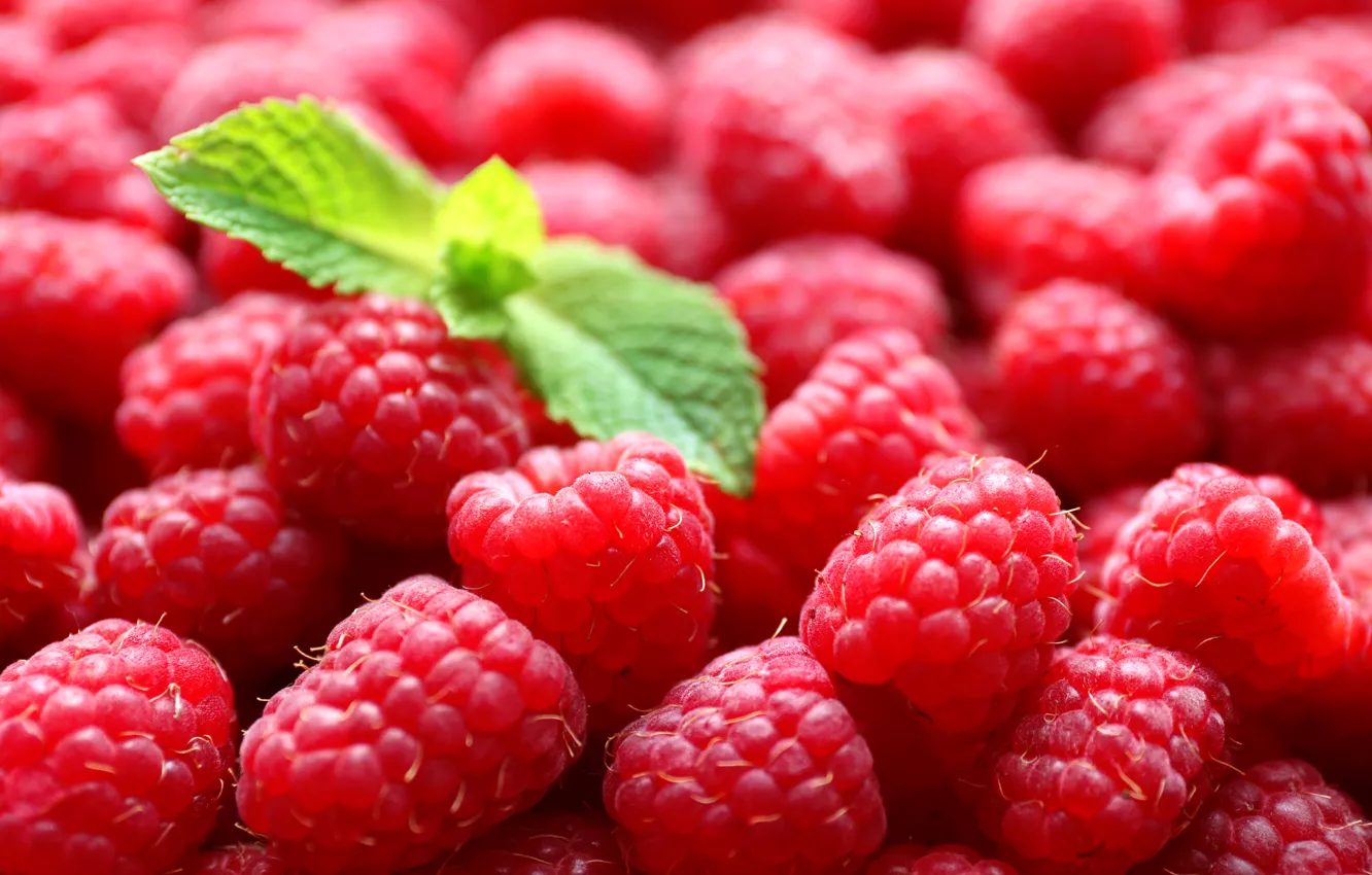 Photo wallpaper berries, raspberry, mint, leaves