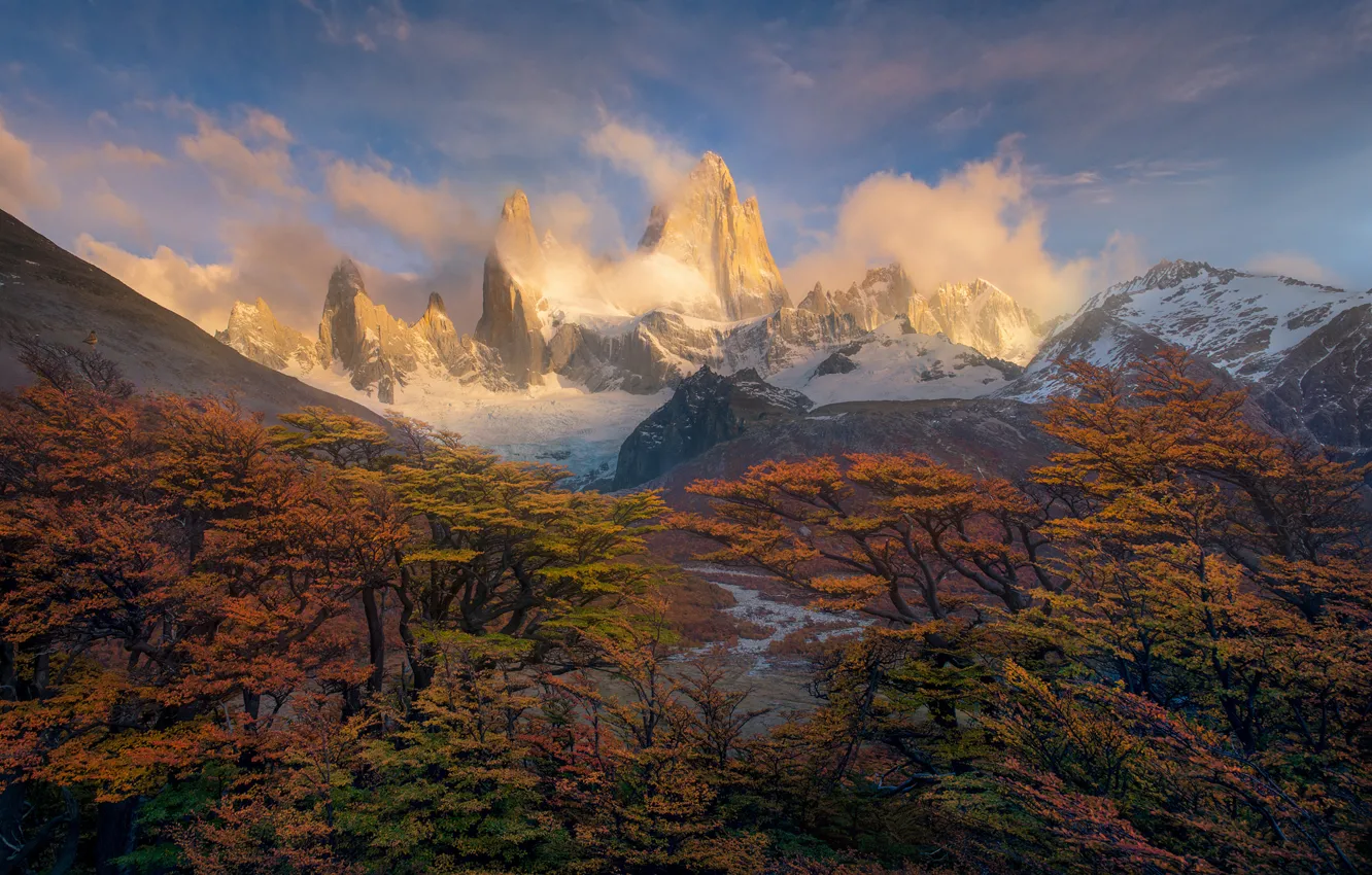 Photo wallpaper autumn, trees, mountains, paint, morning, peak, Andes, South America