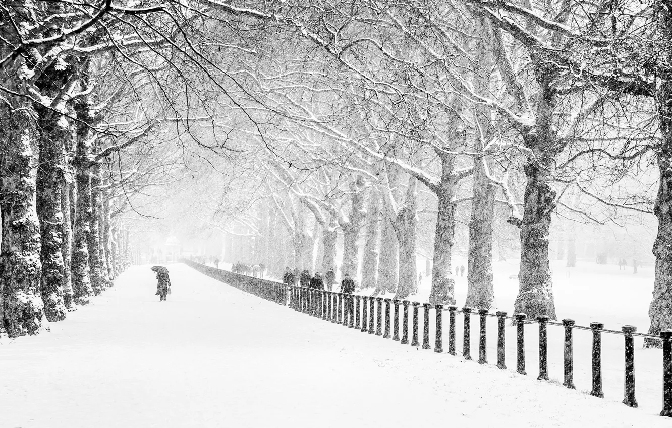 Photo wallpaper winter, road, snow, trees, the city, Park, people, London