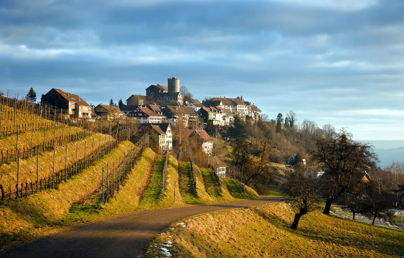 Photo wallpaper road, landscape, home, vineyard