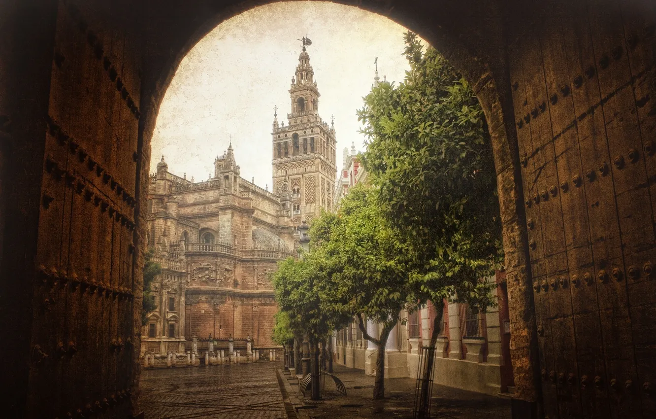 Photo wallpaper trees, the city, street, building, Spain, Seville
