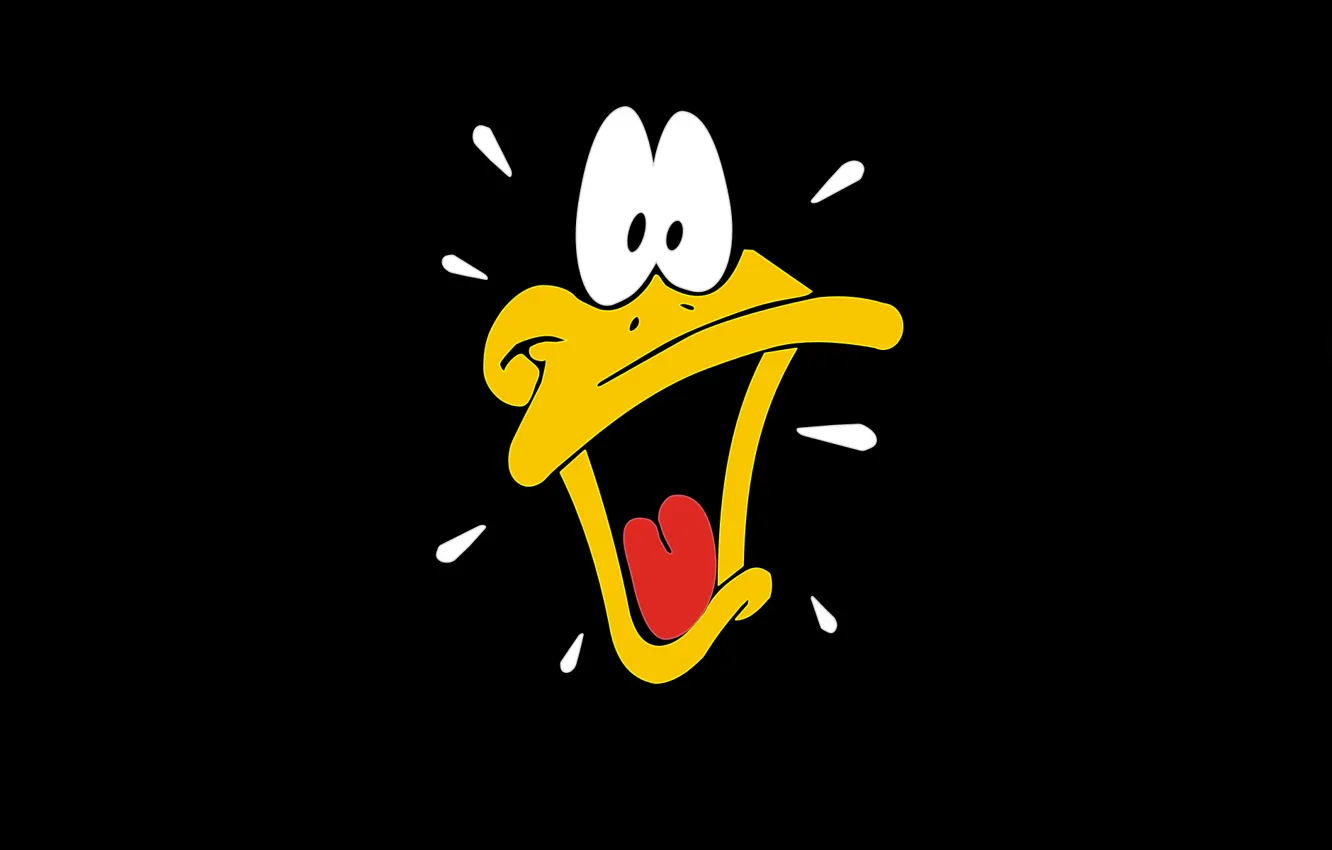 Photo wallpaper duck, Daffy Duck, Daffy Duck, Looney Tunes