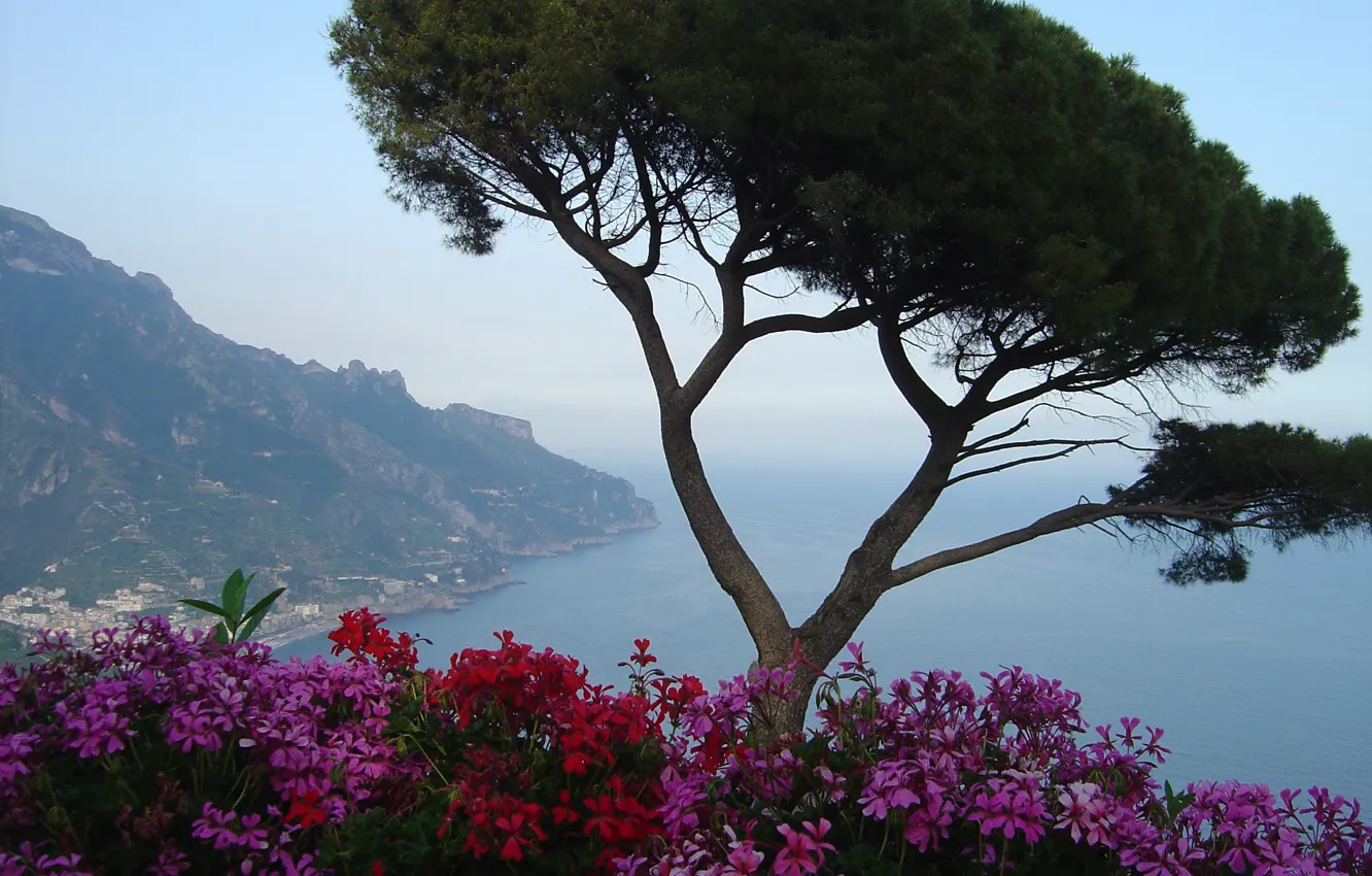 Photo wallpaper trees, flowers, mountains