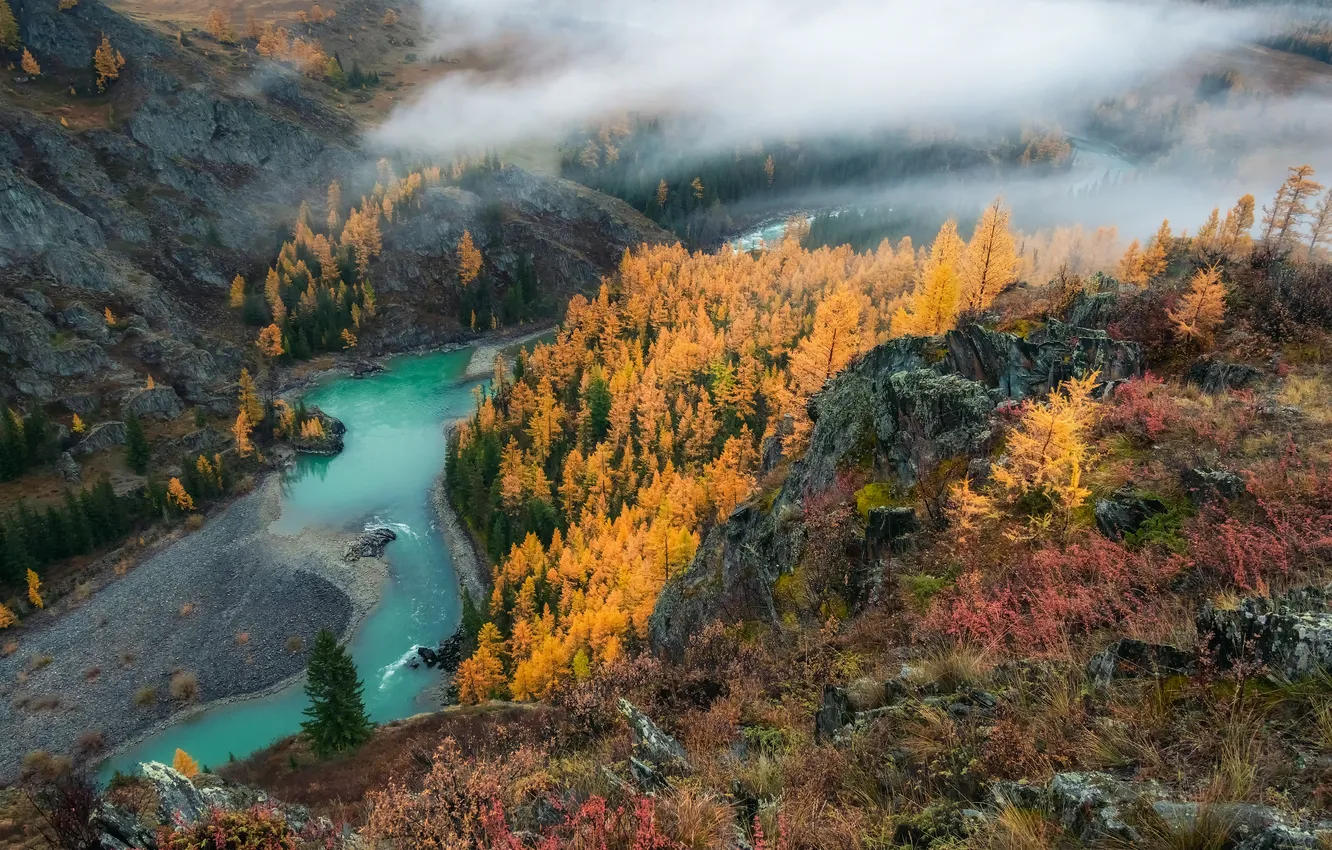 Photo wallpaper river, autumn, fog, cold, thaw