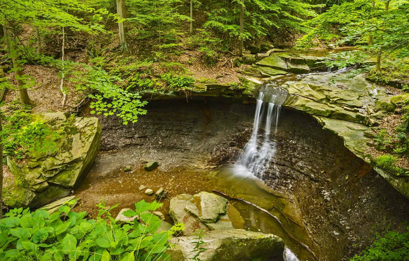 Photo wallpaper forest, trees, stones, rocks, waterfall, stream, USA, Ohio