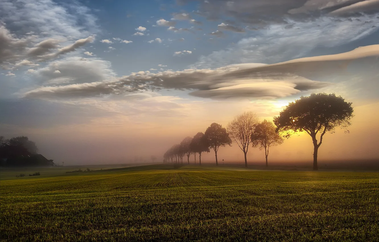 Photo wallpaper field, the sky, the sun, clouds, light, trees, landscape, sunset