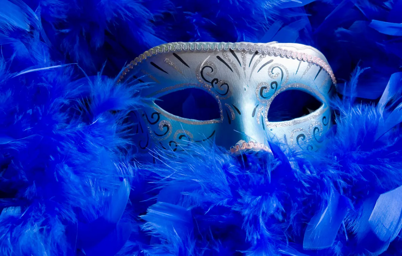 Photo wallpaper blue, grey, feathers, mask, Venice, Different, masquerade