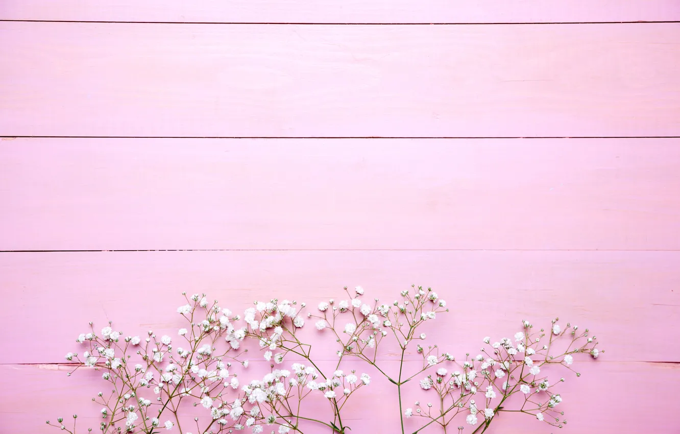 Photo wallpaper flowers, background, pink, white, pink, flowers, background, wooden