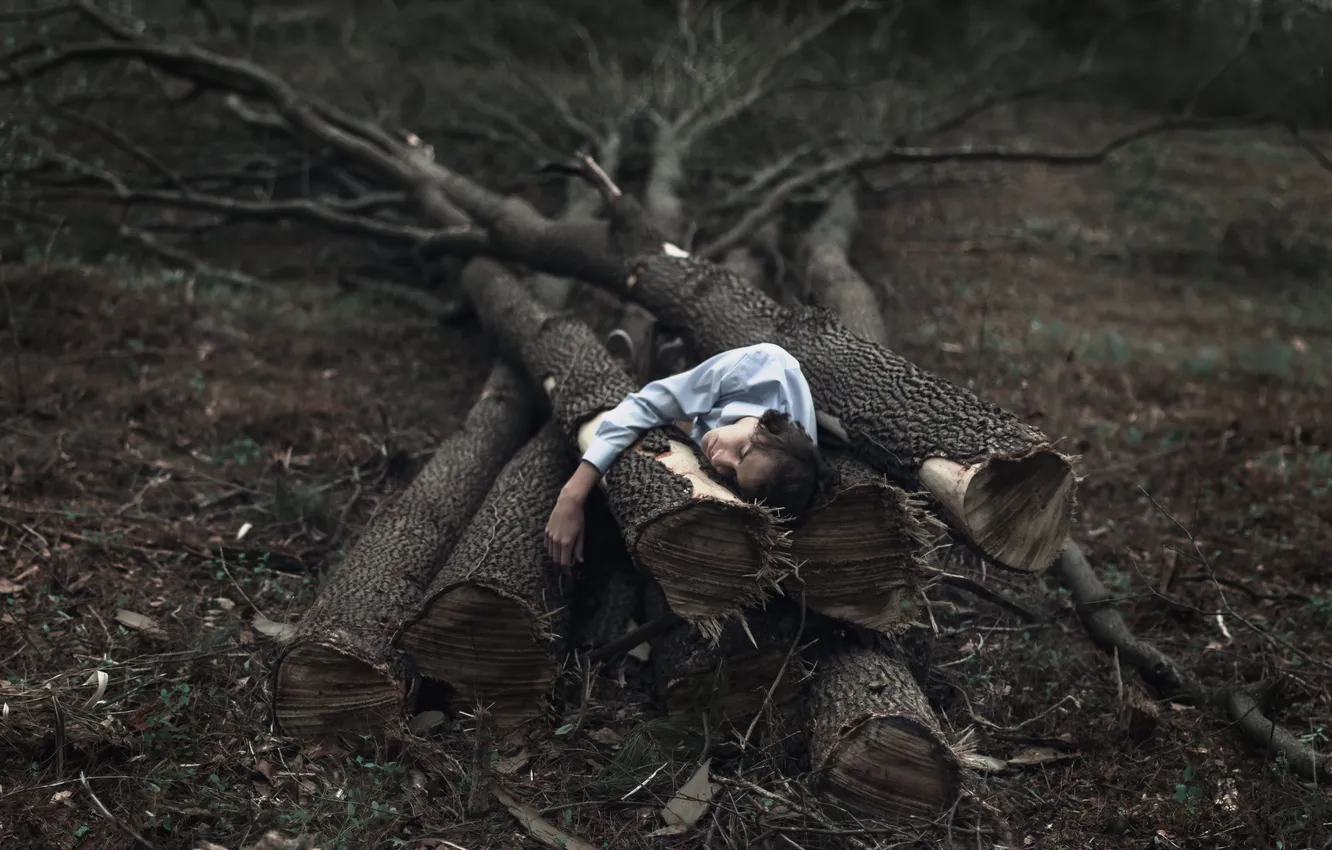 Photo wallpaper trees, people, the situation