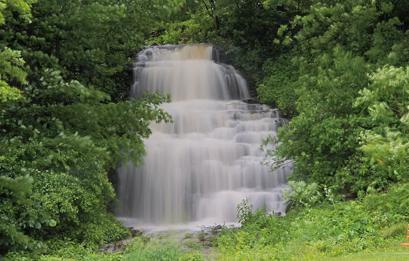 Photo wallpaper forest, stream, cascade, waterfall Clarendon, Clarendon Falls